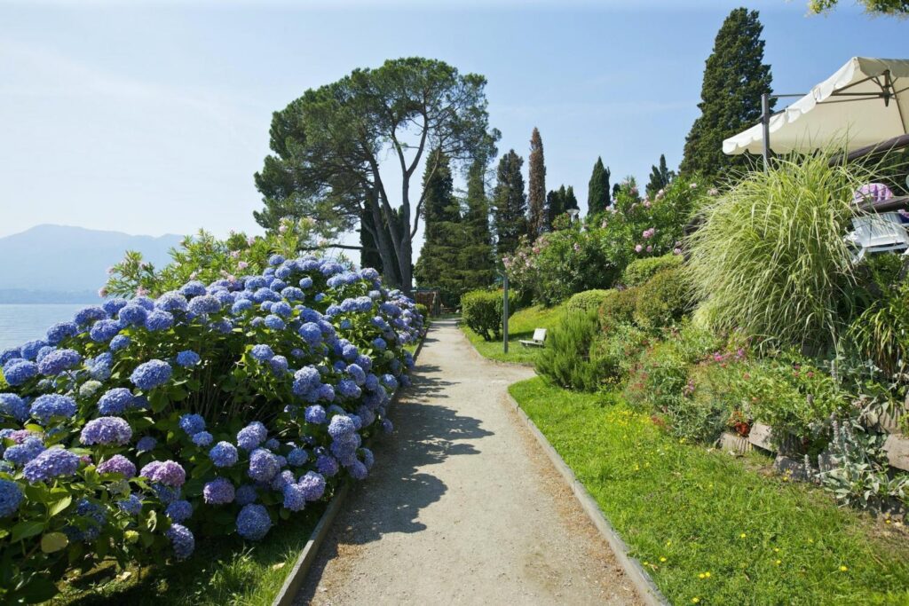 6c30e84b-fd50-4377-b4d7-a7caf37927e6_0_w2560am0 - Oggebbio