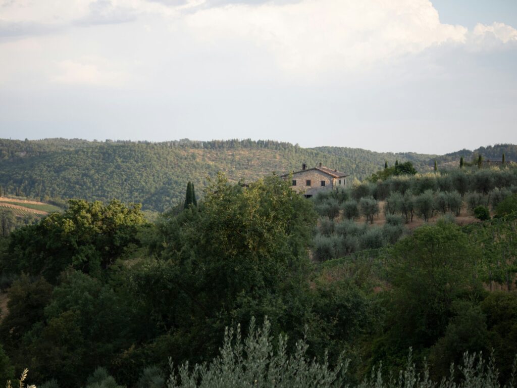 Stenhus omgivet af oliventræer og grønne bakker i Orsara Bormida, Italien, med skovklædte bakker i baggrunden under en lys himmel.